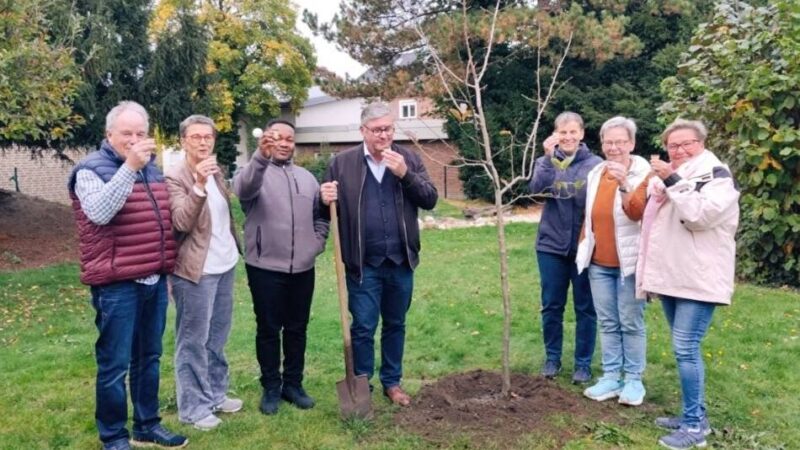 #baumpflanzchallenge in Schwalmtal und Niederkrüchten: Bäume pflanzen für Klima und Gemeinschaft