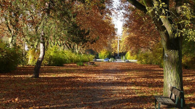 Bunte Bäume und tolle Sonnenaufgänge: So schön fangen unsere Leser den Herbst ein