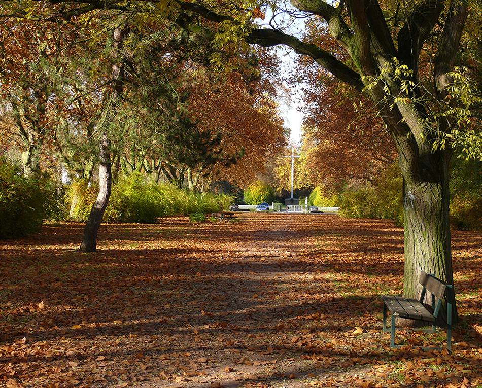 Bunte Bäume und tolle Sonnenaufgänge: So schön fangen unsere Leser den Herbst ein