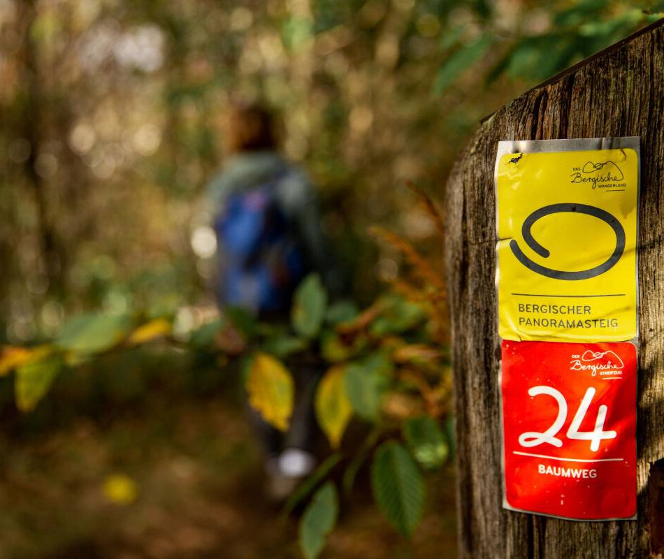 Natur trifft Qualität: Wandern im Bergischen Land bleibt ausgezeichnet