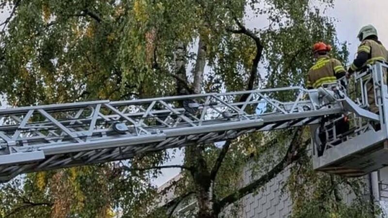 Einsätze in Hilden: Feuerwehr beseitigt Sturmschäden