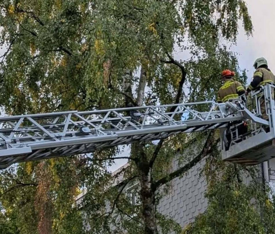 Einsätze in Hilden: Feuerwehr beseitigt Sturmschäden