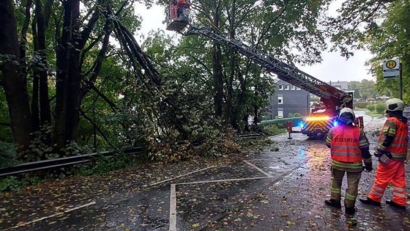 Sturmtief über Wermelskirchen: Umgestürzte Bäume – Feuerwehr räumt Straßen frei