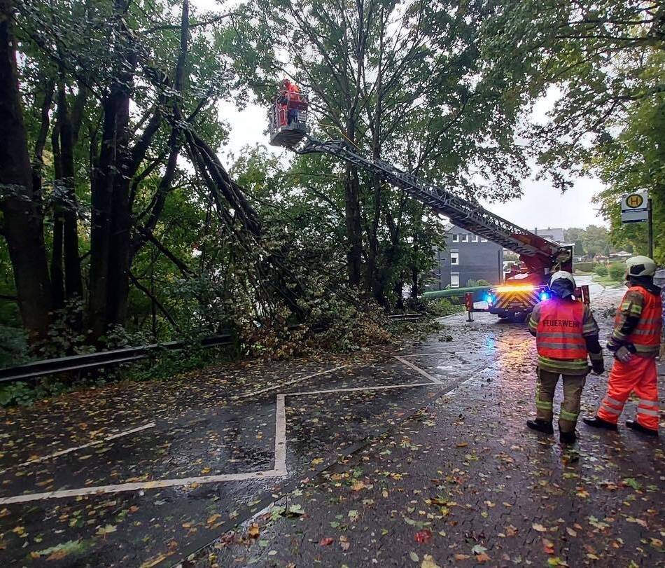 Sturmtief über Wermelskirchen: Umgestürzte Bäume – Feuerwehr räumt Straßen frei