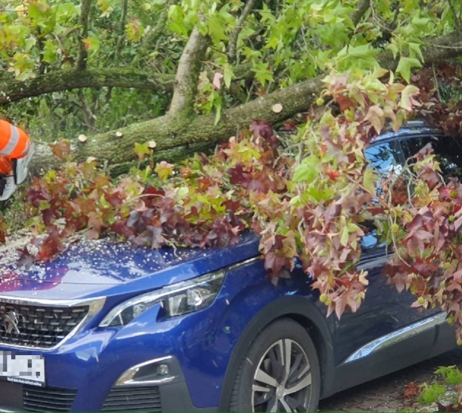 Unfall wegen Sturm: Baum kracht in Kevealer auf parkendes Auto