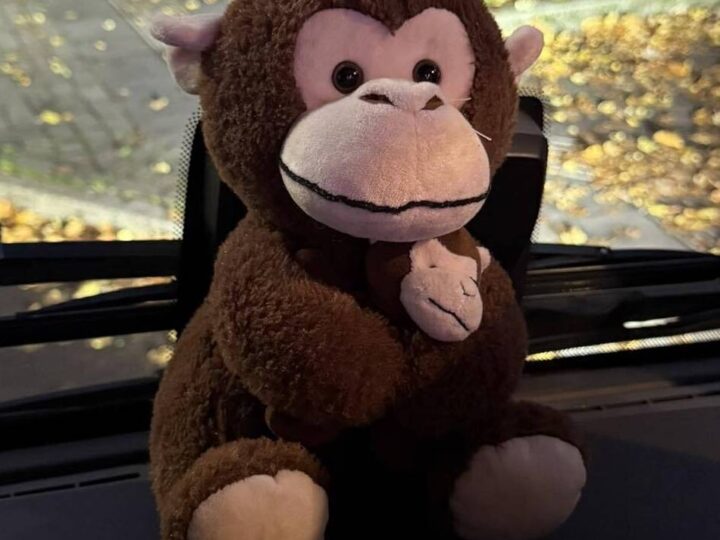 Busfahrerin „rettet“ Plüschaffen in Hilden: „Ich weiß, wie traurig Kinder sind, wenn sie ihr Kuscheltier verlieren“