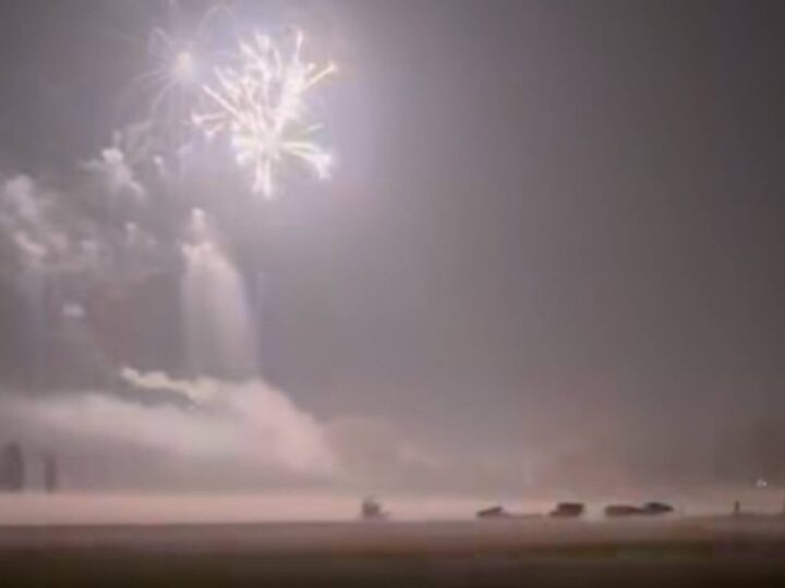 „Schreckliche Minuten für Kühe und Kälber“: Xantener Landwirtin beklagt Feuerwerk am Schutzgebiet