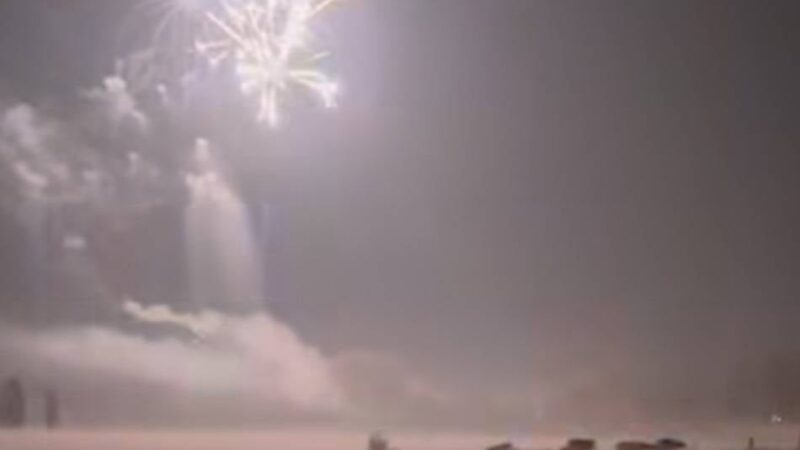 „Schreckliche Minuten für Kühe und Kälber“: Xantener Landwirtin beklagt Feuerwerk am Schutzgebiet