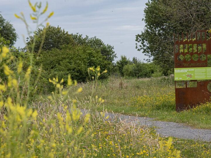 Bei Holzweiler: Blau-grünes Band am Tagebau Garzweiler wird erweitert