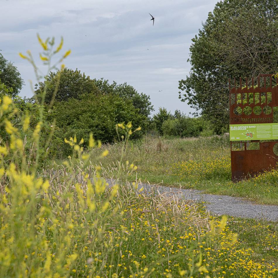 Bei Holzweiler: Blau-grünes Band am Tagebau Garzweiler wird erweitert