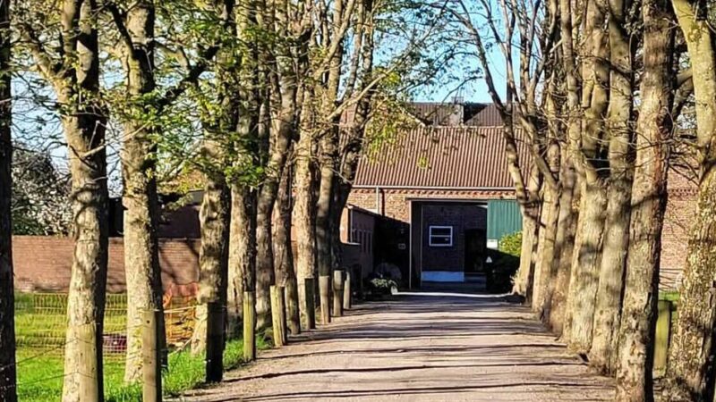 Kultur vor Ort: Kooperation zwischen Ridderbeckshof und Kulturprojekte Niederrhein