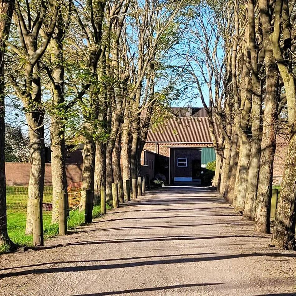 Kultur vor Ort: Kooperation zwischen Ridderbeckshof und Kulturprojekte Niederrhein