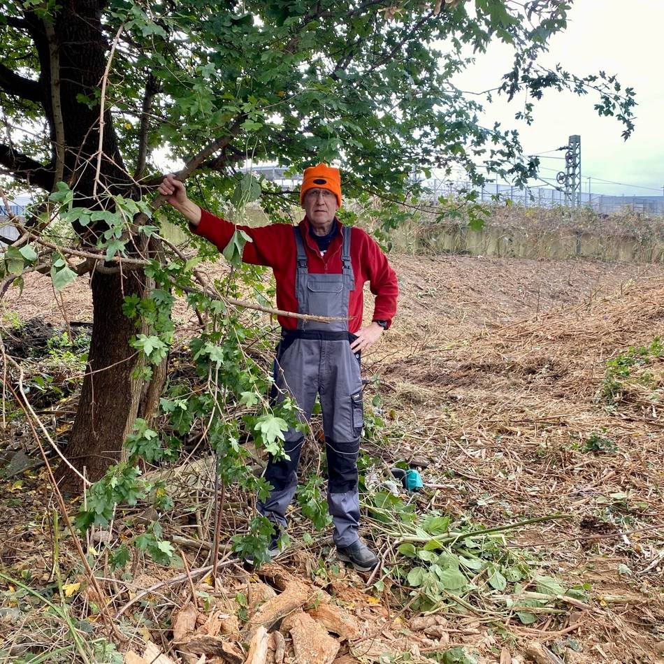 Naturschutz in Düsseldorf: „Da kette ich mich dran fest“ – erfolgreicher Kampf gegen Baumfällung