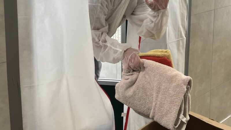 Tierschutz in Krefeld: Alarm im Tierheim – Pilzbefall bei den Katzen