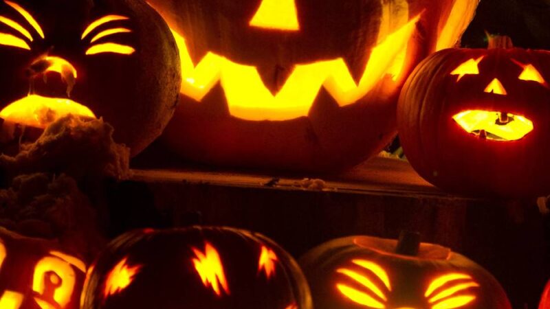 Für den heimischen Halloweenabend: Diese Horrorfilme empfiehlt die Viersener Videothek