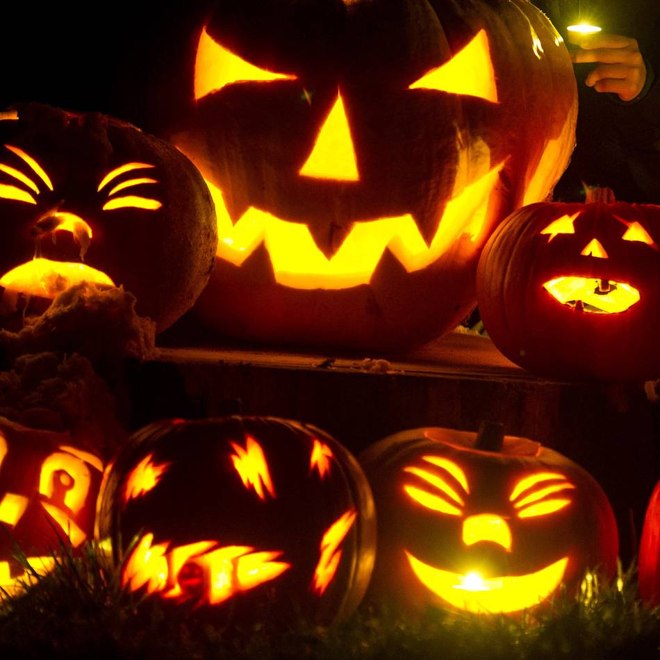 Für den heimischen Halloweenabend: Diese Horrorfilme empfiehlt die Viersener Videothek