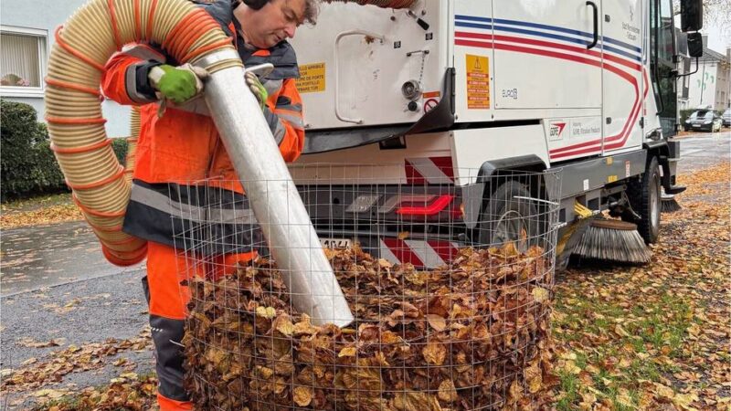Serviceleistung der Stadt Wermelskirchen: Laubfegen und Entsorgen – Stadt stellt Körbe auf