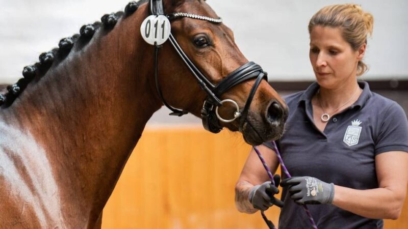 Typisierungsaktion in Moers: 43-Jährige hat Blutkrebs – Stammzellspender für Nadine Lenz gesucht