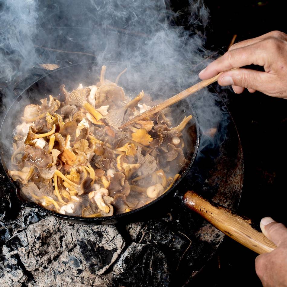Kolumne Frisch vom Markt: Warum Pfifferlinge echte Herbst-Allrounder sind