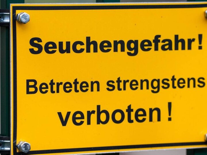 Verdacht auf H5-Virus bestätigt: Geflügelpest-Ausbruch in Kamp-Lintfort vermutet