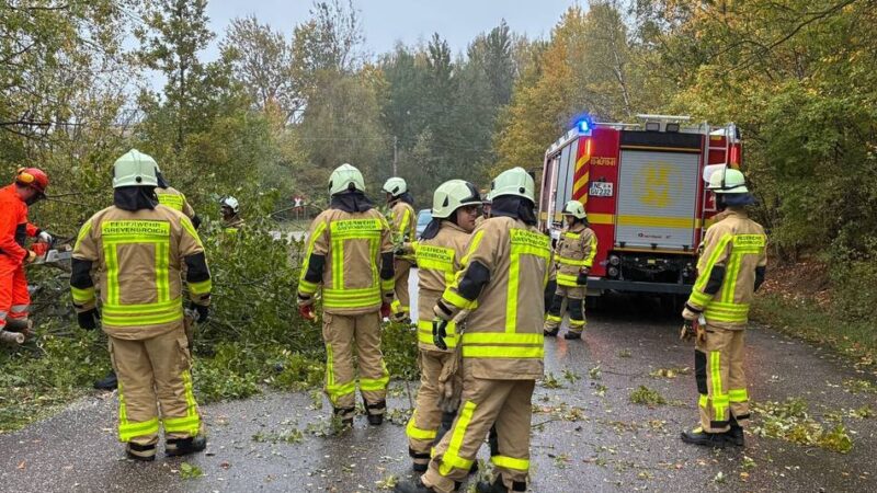 Sechs Einsätze im Stadtgebiet: Sturmböen rufen Feuerwehr Grevenbroich auf den Plan
