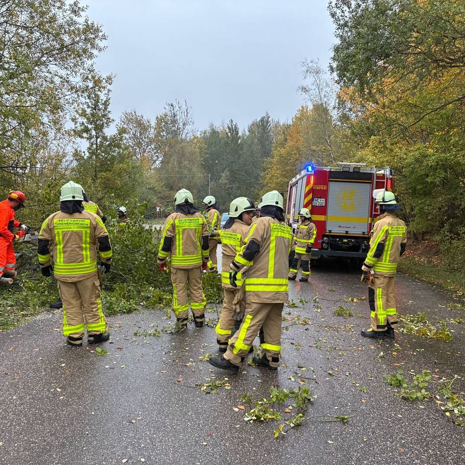 Sechs Einsätze im Stadtgebiet: Sturmböen rufen Feuerwehr Grevenbroich auf den Plan