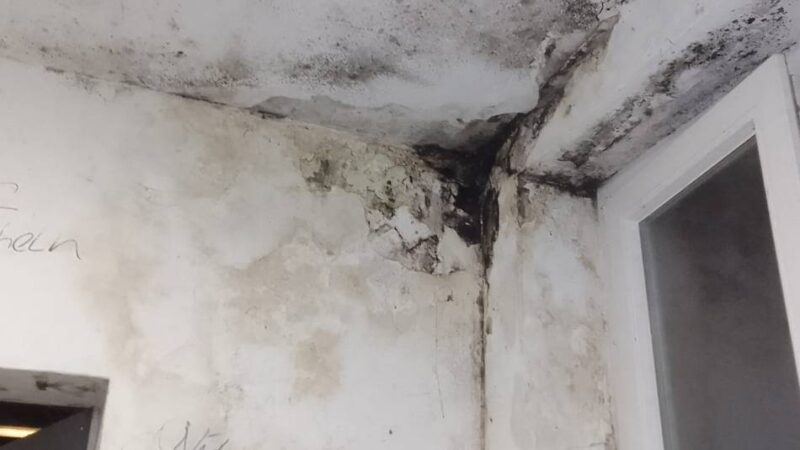 „Verstoß gegen die Menschenwürde“: Freie Wähler beklagen Missstände in Krefelder Obdachlosenunterkunft