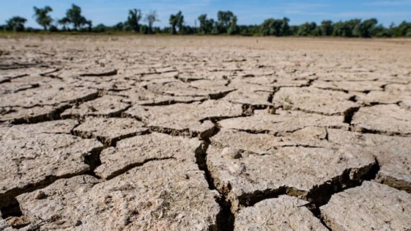 Ansichtssache: Sorgen um den Klimawandel und die Nöte der Landwirte