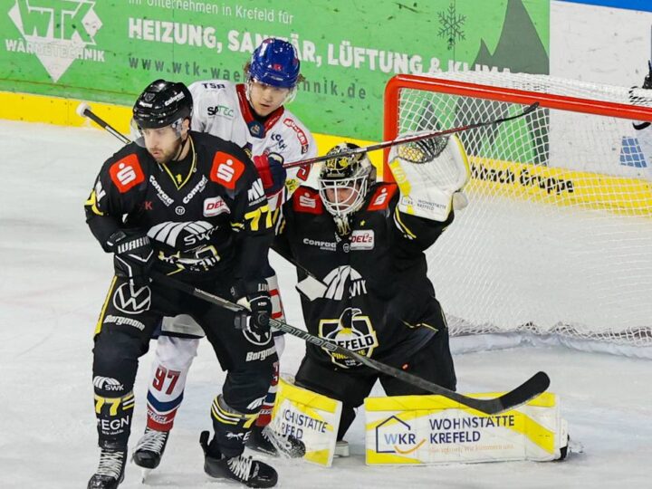 Beim Heimsieg gegen Freiburg: Wie die Krefeld Pinguine Trainer Popiesch beeindruckt haben