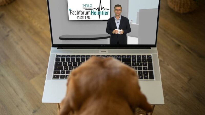 Hückeswagener Agentur: takefive-media startete Umfrage über KI in Unternehmen
