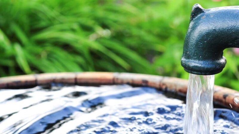 Grenzwert überschritten: Gewässerschützer bemängeln hohe Nitratwerte im Brunnenwasser