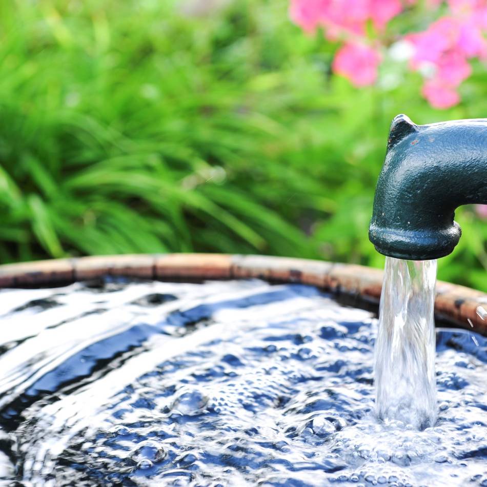 Grenzwert überschritten: Gewässerschützer bemängeln hohe Nitratwerte im Brunnenwasser