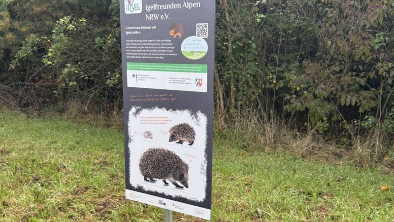 Zwei Igel-Lehrpfade in Alpen eröffnet: Igel-Dame „Erina“ führt in die Welt der stacheligen Wildtiere