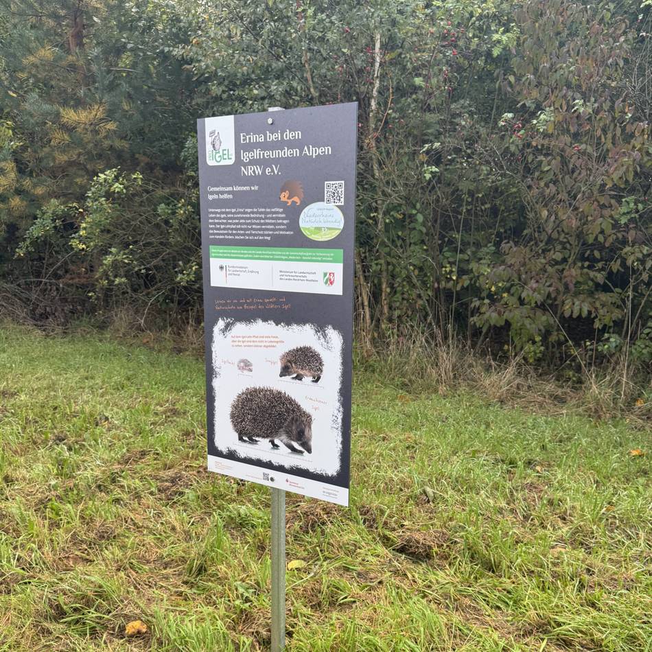 Zwei Igel-Lehrpfade in Alpen eröffnet: Igel-Dame „Erina“ führt in die Welt der stacheligen Wildtiere