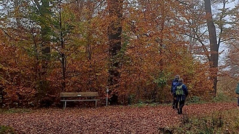 SGV Langenfeld/Monheim: Am 19. November wird auf dem Posthornweg rund um Langenfeld gewandert