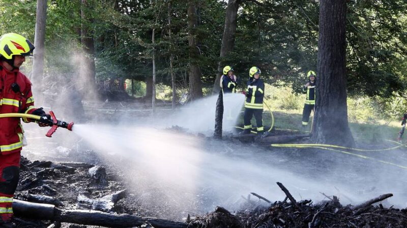 Keine Gefahr für Bevölkerung: Waldbrandübung „Heideblüte“ in Niederkrüchten