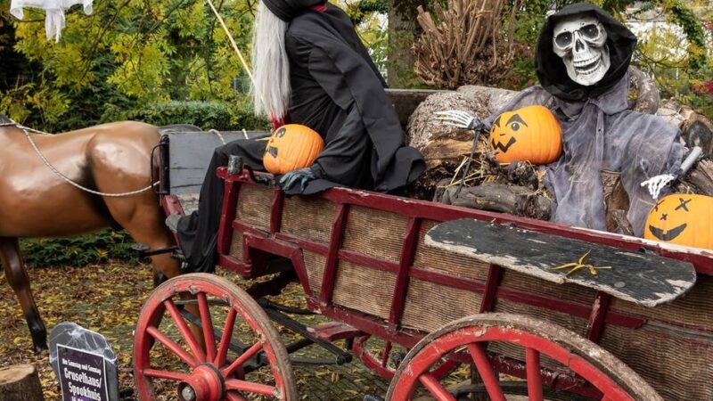 Halloween-Events 2025: Gruselspaß für Kinder und Jugendliche im Kreis Kleve