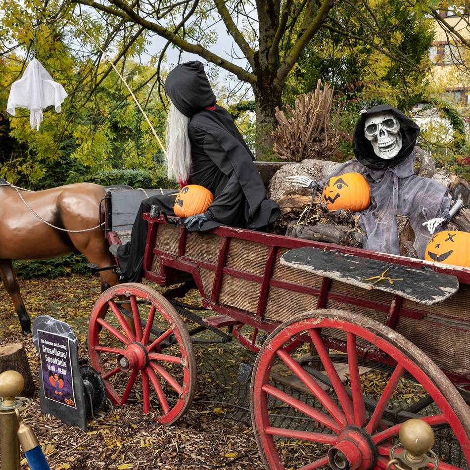 Halloween-Events 2025: Gruselspaß für Kinder und Jugendliche im Kreis Kleve