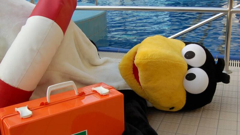 Von Ninja-Cross bis „Rettet Fridolin“: Herbstferienspaß in den Neusser Schwimmbädern