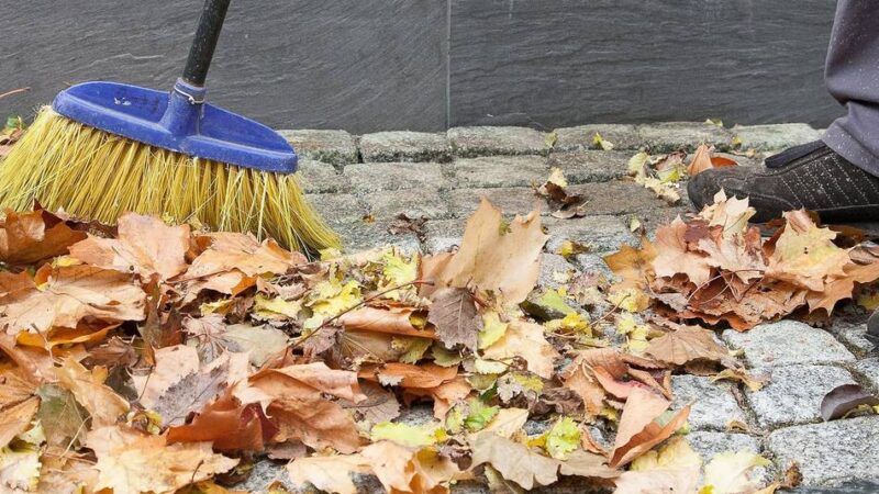 Entsorgung im Kreis Viersen: Wohin bloß mit dem Herbstlaub?