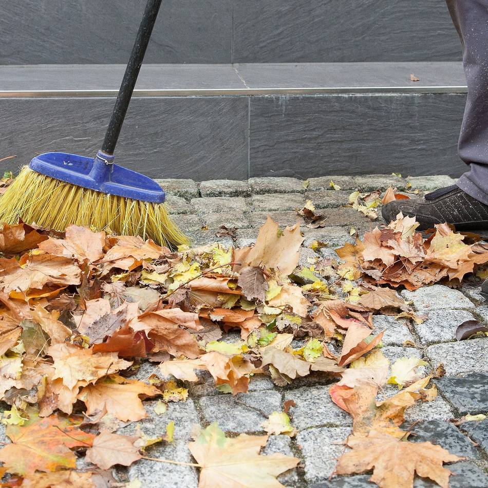 Entsorgung im Kreis Viersen: Wohin bloß mit dem Herbstlaub?