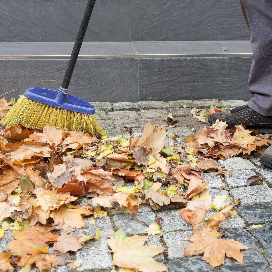 Leerung einmal pro Woche: Kostenlose Laubcontainer werden in Grevenbroich aufgestellt