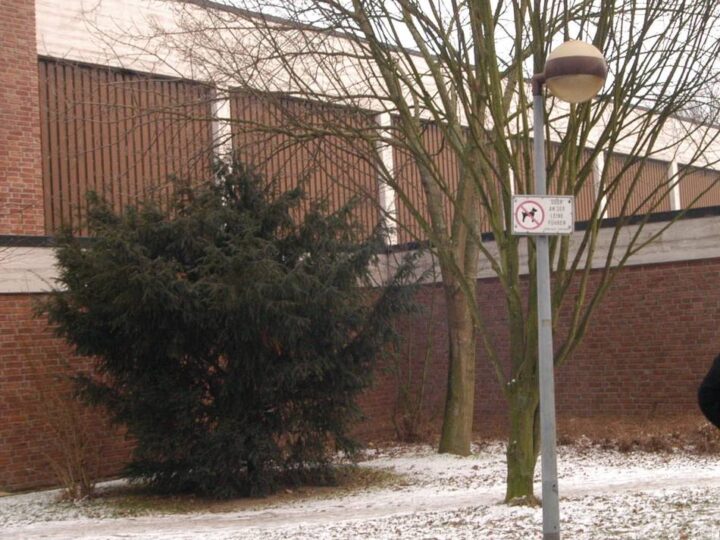 Sportstätten in Grefrath: Experte begutachtet Dach der Sporthalle