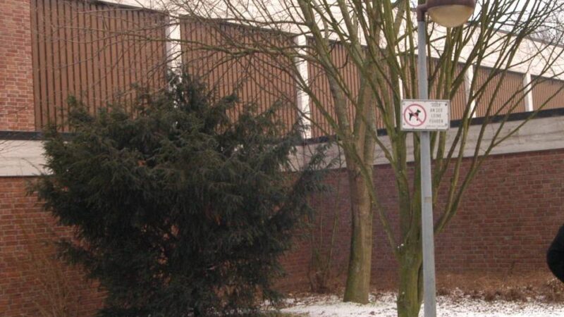 Sportstätten in Grefrath: Experte begutachtet Dach der Sporthalle