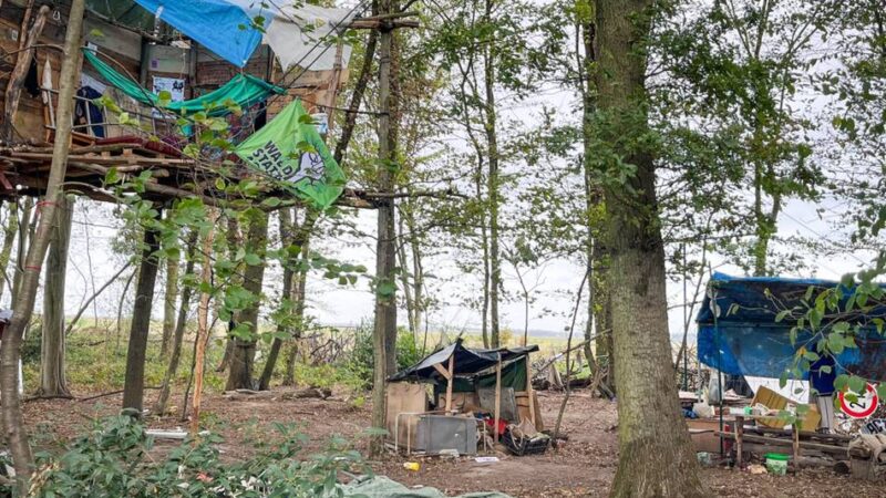 RWE-Räumungspläne am Hambacher Forst: Aktivisten am „Sündenwäldchen“ – „Freiwillig werden wir nicht gehen“