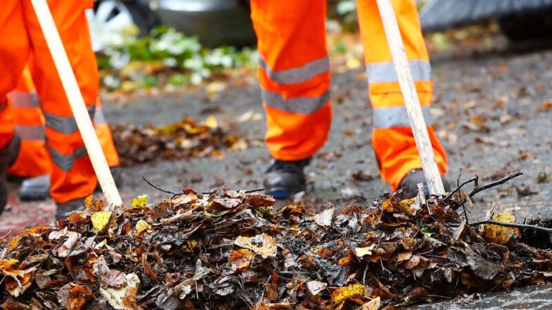 Stadt fordert Bürger zur Mitarbeit auf: Container für die Blätterflut im Herbst