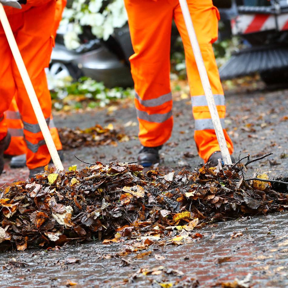 Stadt fordert Bürger zur Mitarbeit auf: Container für die Blätterflut im Herbst