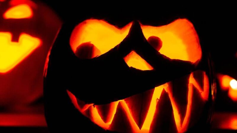 Partys, Kostüme und Deko: Das Halloween-Programm in Dormagen