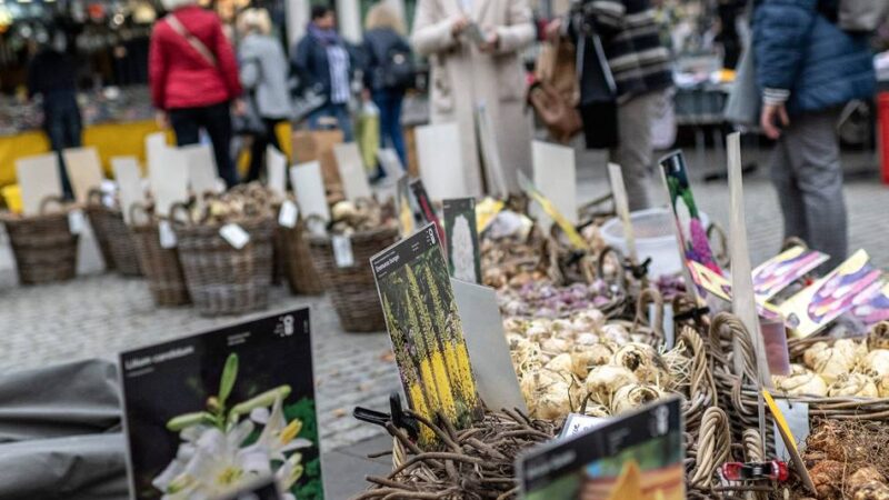 Oktobermarkt in Neuss: „Es hat alles etwas nachgelassen im Laufe der Jahre“
