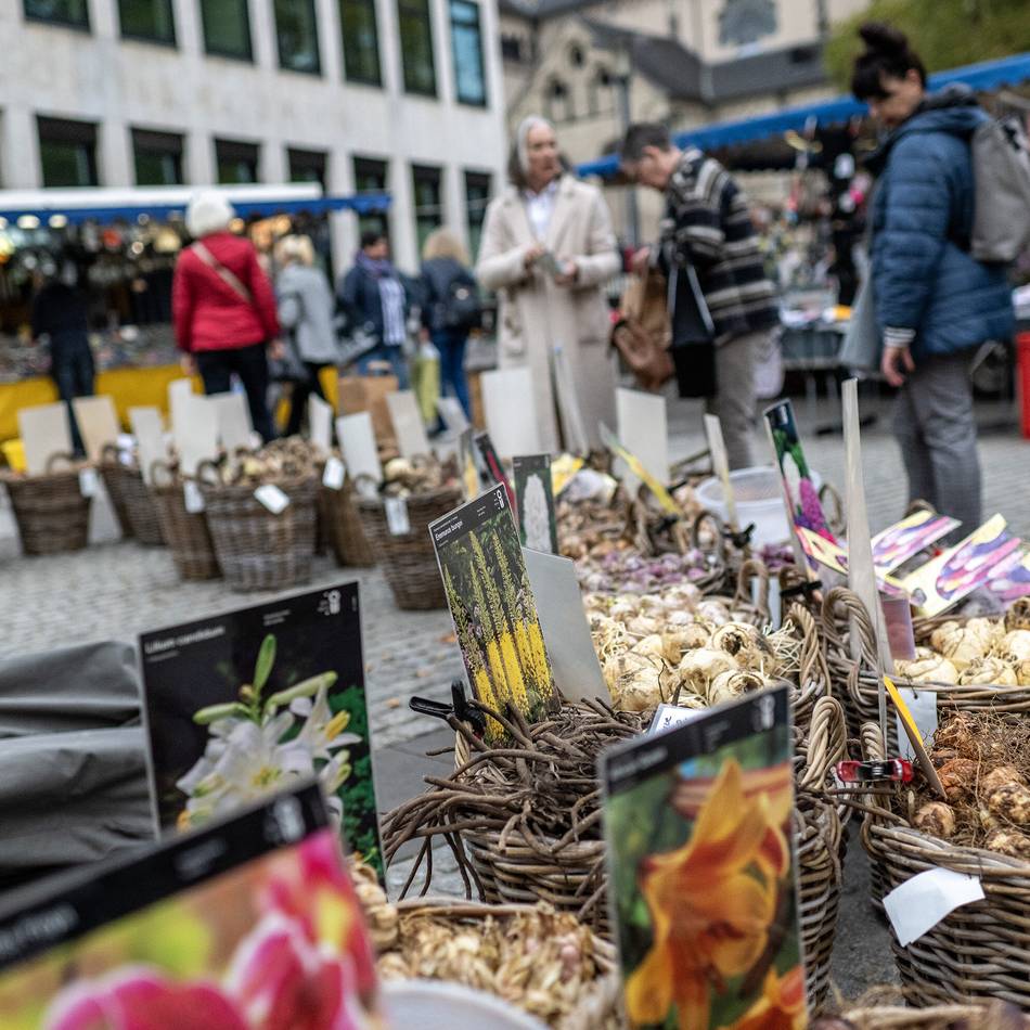 Oktobermarkt in Neuss: „Es hat alles etwas nachgelassen im Laufe der Jahre“